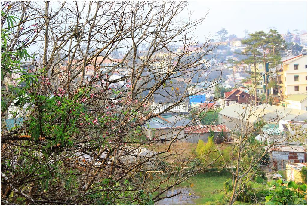 Hobbit Village ดาลัด ภายนอก รูปภาพ